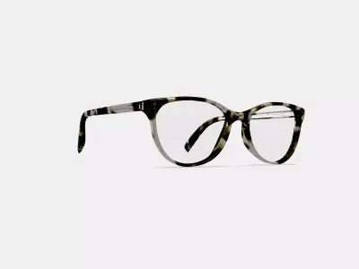 Nadia Eyeglasses in Opal Tortoise Low-poly 3D model