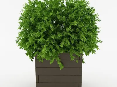 Planter Box 3D model