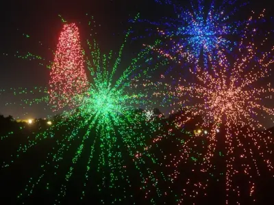 New Year Fireworks animation 3D model