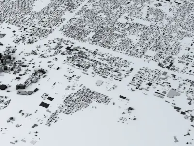 Tampa Streets and Buildings 3D model