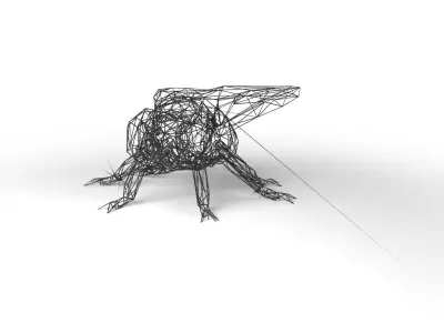 Fly Wireframe Low-poly 3D model
