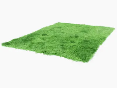 Fuleri green carpet 3D model