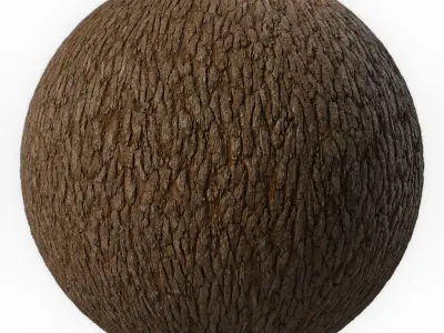 Bark Materials 03- Seamless PBR 4k Texture