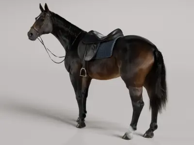  Horse SealBrown Saddled 