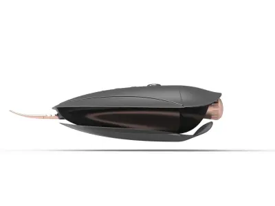 Stingrays 3d print concept model 3D print model