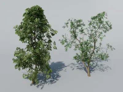 Low Poly Tree Pack Low-poly 3D model buy