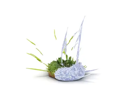 Verdant Grass Cluster model pack Low-poly 3D model