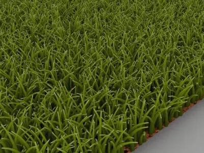 Grass 3D model