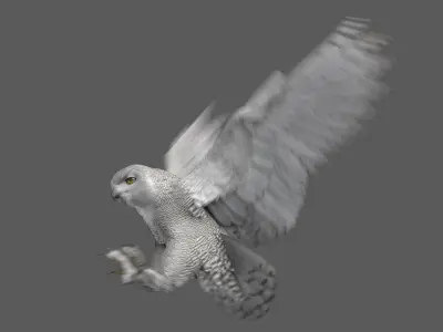  Snowy Owl Animated 