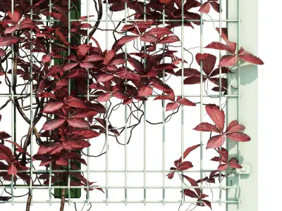 Ivy wall nine 3D model
