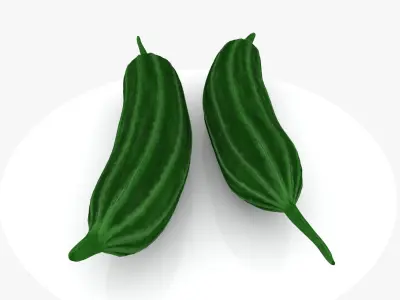 Ridge Gourd Low-poly 3D model