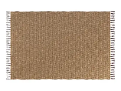 Willow Water Hyacinth Rug 215x150cm RendezVousDeco 3D model