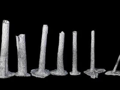  HQ Pine Tree Trunk Stump Scanned Collection Processed Low-poly 3D model