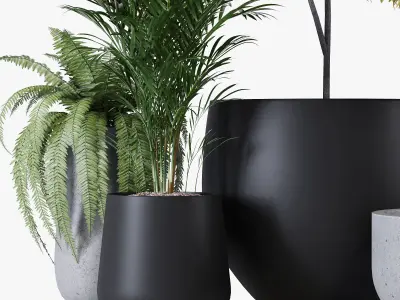 Pottery pots 3D model