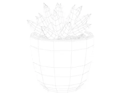 Gasteria Potted Cactus Plant Free 3D model