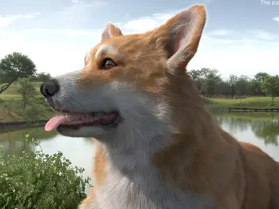  Pembroke Welsh Corgi Dog Lying Pose Fur for Cinema 4D 