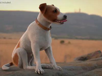  Hunting Jack Russell Running Animated Fur Rigged For Blender 