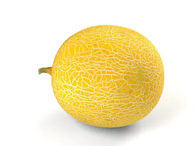 Yellow Japanese Melon - Photorealistic  Scan Low-poly 3D model