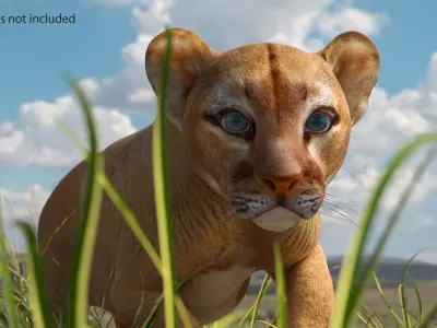  Puma Cub Rigged for Cinema 4D 