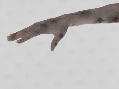 Female Zombie1 Animations Pack Low-poly 3D model