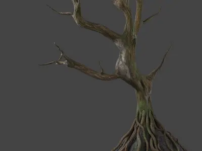  Old tree 3D model