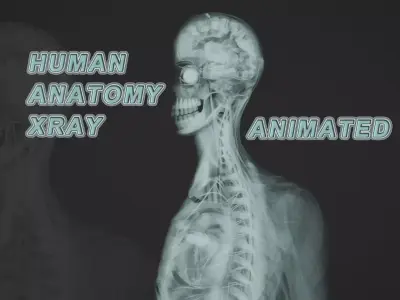 Human Anatomy Xray Animated Low-poly 3D model