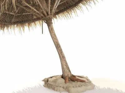 Beach Thatched Umbrella 3D model