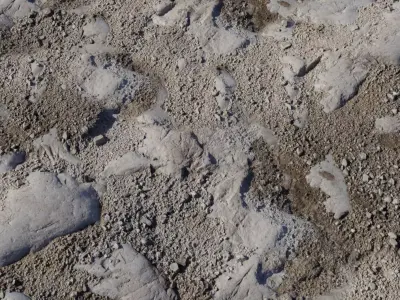 Rocky Soil With Exposed Bedrock PBR Texture  Texture