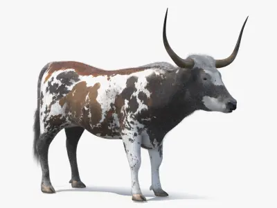  Farm Animals Big Collection 5 