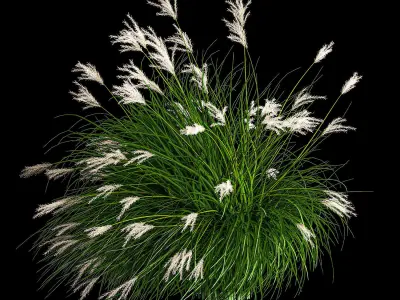 Ornamental Bushes For Landscape Design 1131 3D model