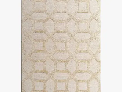 ALLMODERN Rugs 290 3D model