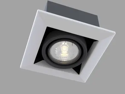 Downlight Metal Modern DL008-2-01-W Maytoni Technical Free 3D model