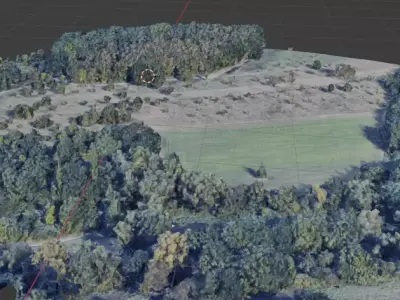 Projekt 3 forest Free 3D model