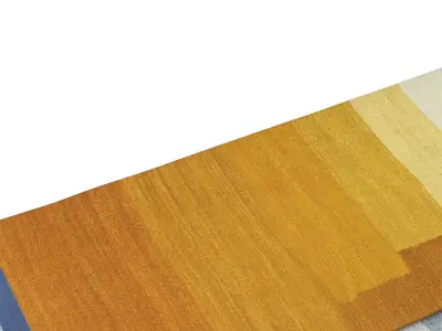 Another Rug AP2 3D model