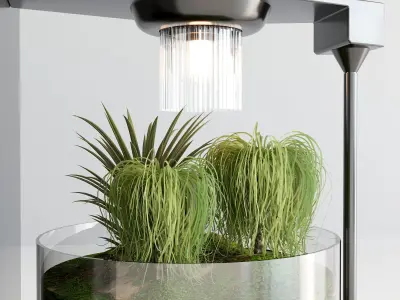 PLANTS IN DIGITAL VASE NO6 A 3D model