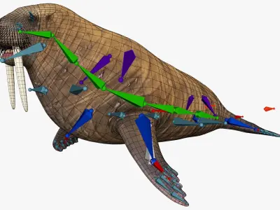  Walrus Walking Animated Rigged For Blender 