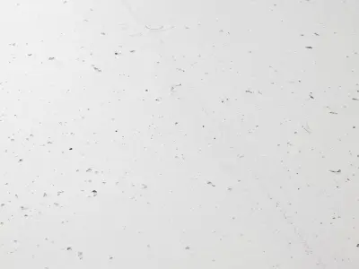 Painted concrete wall 01 Texture