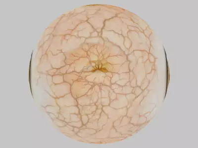 3D Eye Model with Realistic Textures Low-poly 3D model