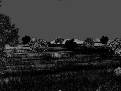 Savannah Environment 3D model