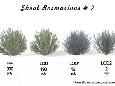 Shrub Rosmarinus 2 Low-poly 3D model