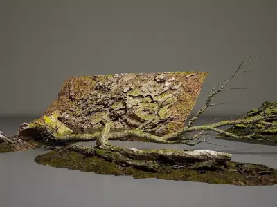 Rock Tree - Environment pack  Low-poly 3D model