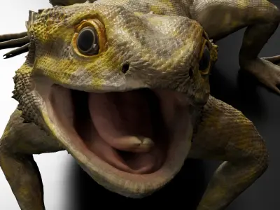  Bearded Dragon Rigged Animated 