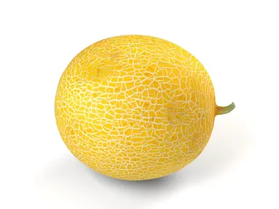 Yellow Japanese Melon - Photorealistic  Scan Low-poly 3D model