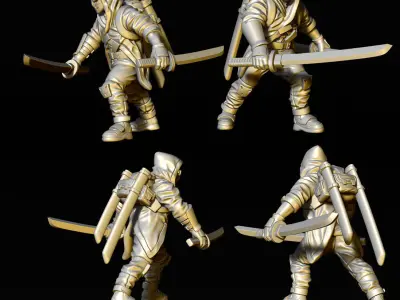 Ronin  3D print model