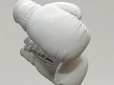 Everlast Realistic Boxing Gloves Low-poly 3D model