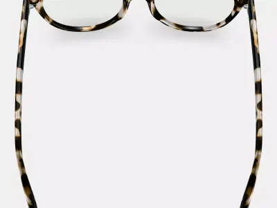 Haley Eyeglasses in Opal Tortoise 3D model