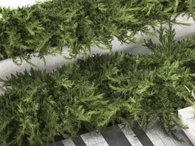 Cypress And Juniper With A Bench For An Park 1167 3D model