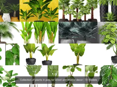 Collection of plants in pots for street and interior decor 3D Model Pack