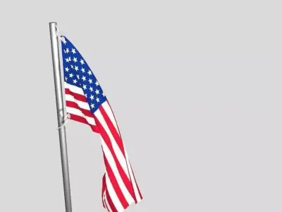 flag animation 3D model USA 3D model