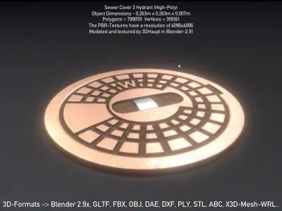 Sewer Cover 3 Hydrant High-Poly 3D model